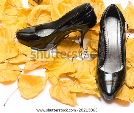 Woman shoes on Fall leafs isolated on white
