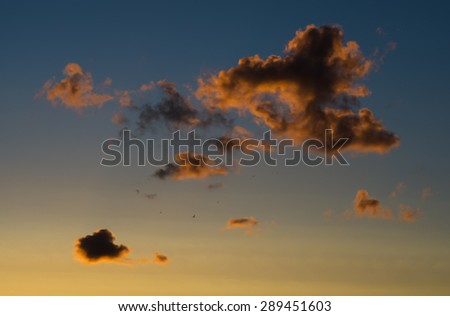 Horizontal vivid sunset cloudscape with flying birds background backdrop