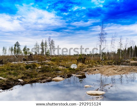 Horizontal color karelian nature landscape background backdrop