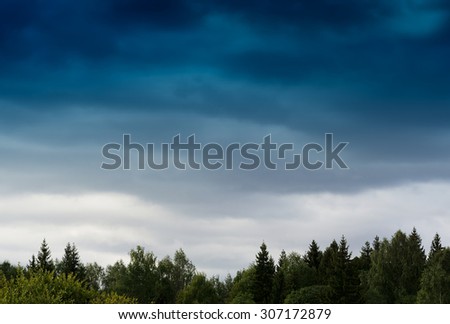 Horizontal vivid bottom aligned forest with sky landscape background