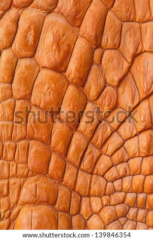crocodile texture handbag glamour serpent fashion texture quality vintage leather pattern reptile textile tropical suitcase predator contrast textured material snakeskin crocodile reptilian artificial