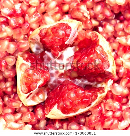 Pomegranate fruit Organic Bio fruits