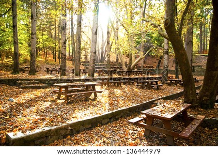Picnic site with many benches in oak forest in the mountain Cyprus