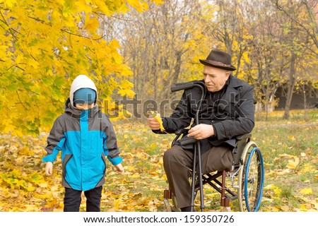 Handicapped grandfather playing with his cute young grandson in a colourful yellow autumn park as he sits in his wheelchair watching the child playing in the leaves