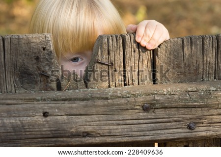 Cute little blond girl peering through a gap in a broken board in a rustic wooden fence with one eye