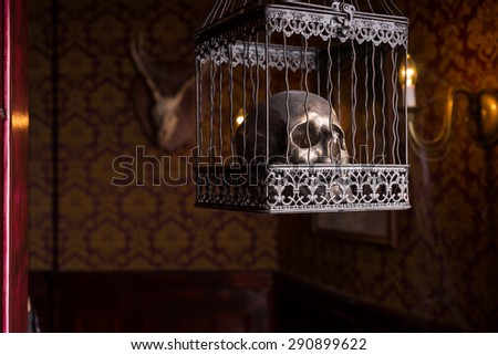 Close Up of Shiny Gothic Skull Imprisoned in Ornate Metal Cage Inside Eerie Room with Patterned Wallpaper and Lit by Burning Candles