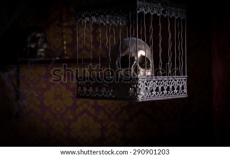 Close Up of Shiny Gothic Skull in Ornate Metal Cage in Room with Patterned Wallpaper, Used for Witchcraft and Casting Spells