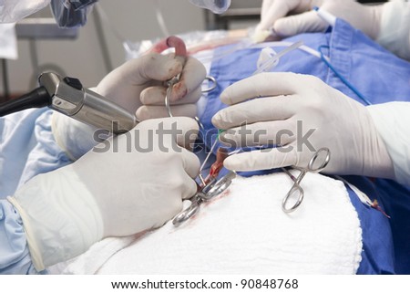 Preparation for the beginning of surgical operation with a cut