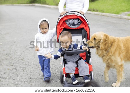 Lovely Mother with Her Children, Mums with strollers in the park