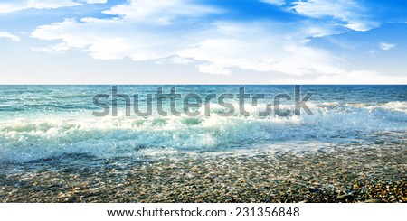 sea beach on background summer sky