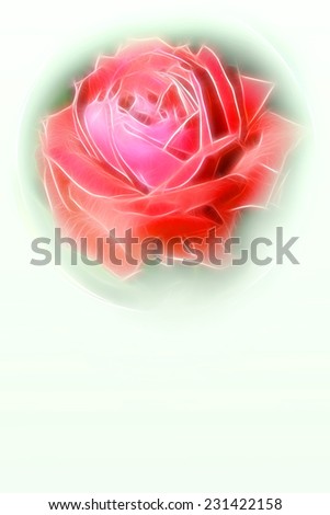 abstract background scene with flower rose