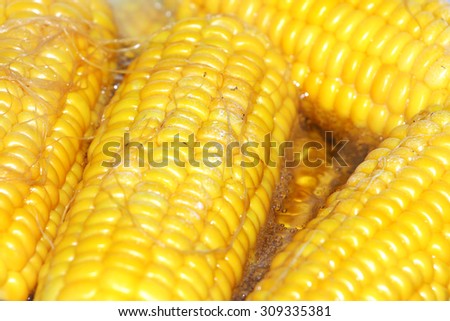 wonderful juicy ripe corn as a food item