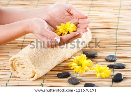 Close up of female hands holding flower,Female hands holding flower