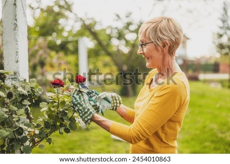 Foto Bild Gärtnerin beim Beschneiden der Pflanzen