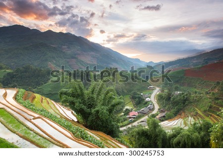 Rice fields on terraced in sunset at Mu Cang Chai, YenBai, Vietnam. Rice terraces on water season