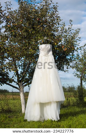 bridesmaid dress on a tree branch