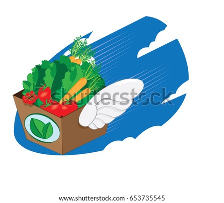 a vector cartoon representing a winged carton package full of fresh vegetables and fruit flying and landing - online order and very fast shipping concept