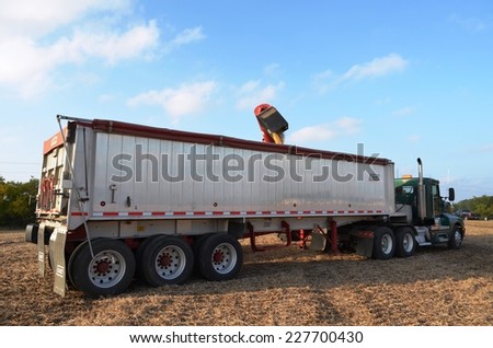Soybean harvest on October 1, 2013, in Caledonia Michigan, USA