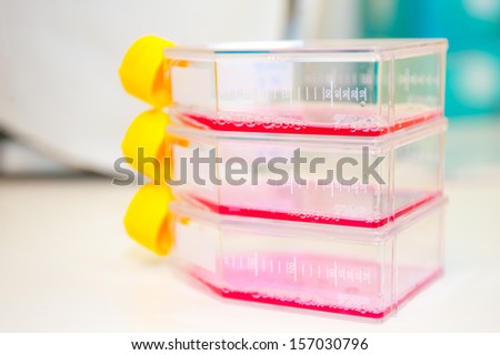 Liquid for bacteria culture