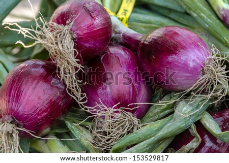Locally grown bunches of red onions for sale at local farmers market