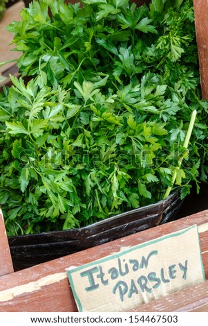Locally grown bunches of Italian parsley for sale at local farmers market