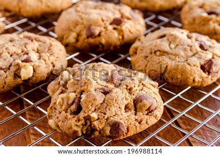 Warm homemade chocolate chip cookies sitting on wire cooling rack