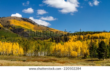 Mountain side filled with brightly colored yellow and green fall trees with blue sky and puffy white clouds