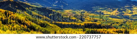 Overlook of mountain valley filled with yellow, orange and green changing Aspen trees and dark green pine trees on sunny fall morning