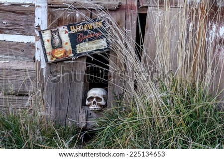 Creepy Halloween skull in hole in old abandoned wood building