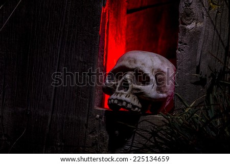 Creepy Halloween skull bones sitting in hole in old abandoned wood building lit with red light