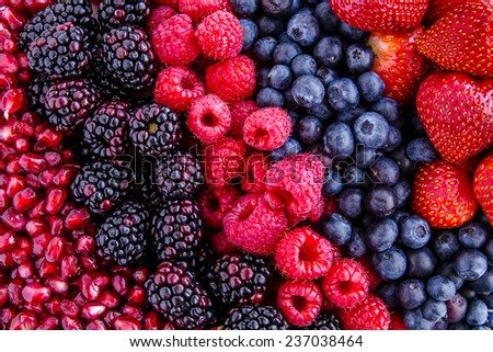 Fresh organic pomegranate seeds, blackberries, raspberries, blueberries and strawberries in lines next to each other