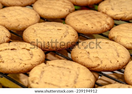 Rows of peanut butter cookies cooling on wire baking rack sitting on counter top