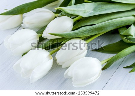 Bouquet of white tulips laying on white wooden table