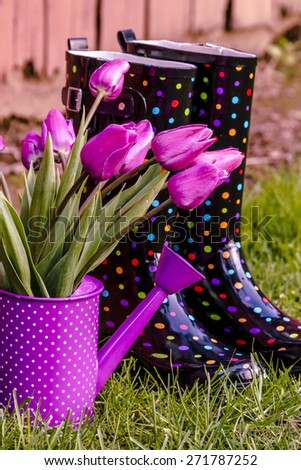 Purple tulip stems in purple polka dotted watering can sitting next to multi-colored polka dot gardening boots