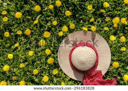 Straw hat sitting on grass filled with dandelion flowers on sunny summer afternoon