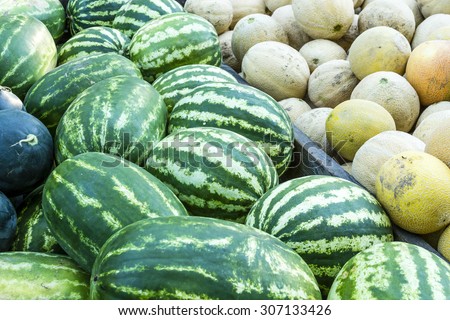Assorted fresh organic watermelons and cantaloupes sitting in back of trailer for sale at local farmers market