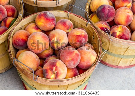 Large bushel baskets filled with fresh from the orchard organic yellow peaches for sale at roadside produce stand