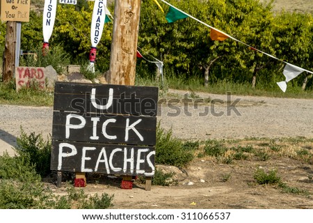 You pick peaches sign in front of roadside produce stand in fruit orchards