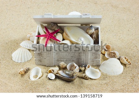shells on sand. starfish. treasure