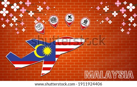 plane icon made from the flag of Malaysia