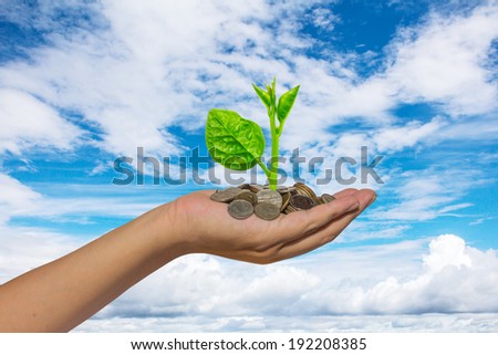 hand holding tree growing on golden coins - saving money