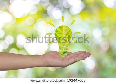 Light bulb made of green leaf on woman hands  Green eco energy concept.