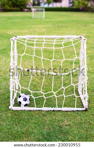 Soccer ball in small gates on green field