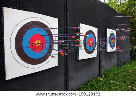 Target archery and many arrow after shoot.