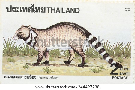 BANGKOK - A old stamp printed by Thailand Post circa and shows image of Viverra zibetha animal,THAILAND.