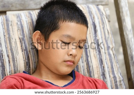 Similar – Image, Stock Photo Peaceful child daydreaming while lying on horse
