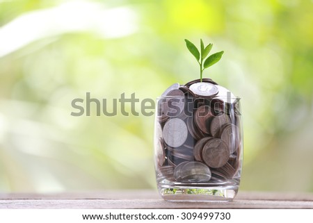 silver coin in glass is placed on a wood floor and treetop growing with colorful bokeh background for business concept image.