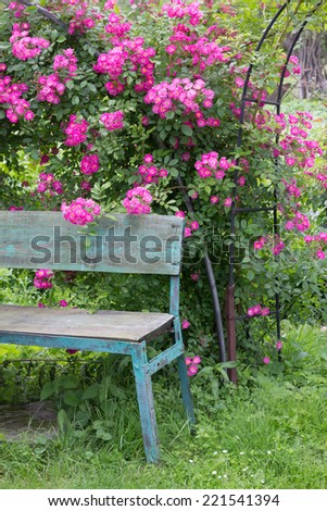 green bench in garden full of pink flowers
