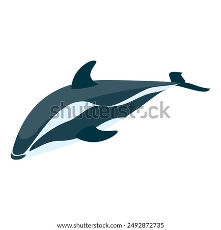 3D Isometric Flat Vector Set of Types Of Dolphins, Educational Classification. Item 2