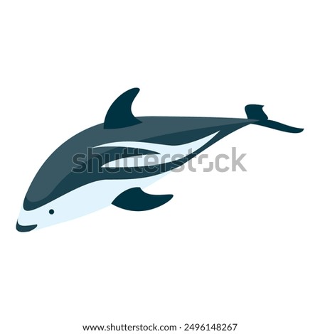 3D Isometric Flat Vector Set of Types Of Dolphins, Educational Classification. Item 3